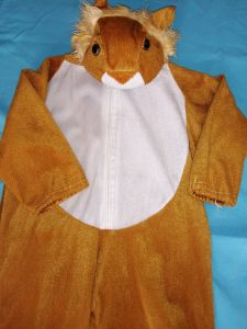 Kids Costumes to Hire - Lion - Child Onesie